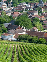 vignoble aubois